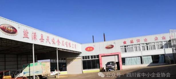 盐源县天味食品有限公司