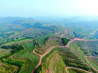 四川省玉润木泽农业科技有限公司