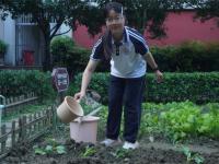 郫都四中学子解锁“新农人”技能，与幼苗共成长